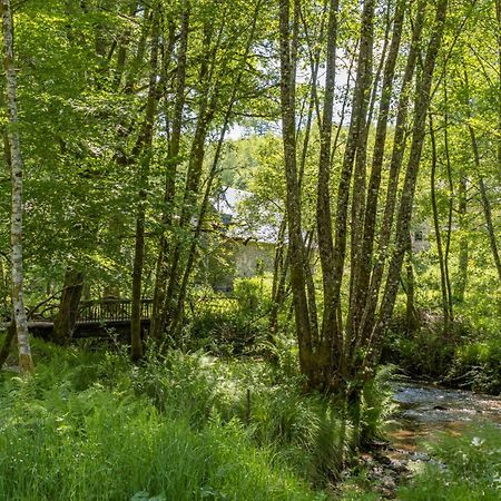 Gite Nature Le Moulin Vitrac-sur-Montane 外观 照片
