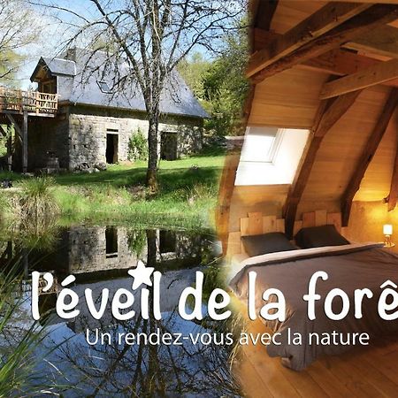 Gite Nature Le Moulin Vitrac-sur-Montane 外观 照片