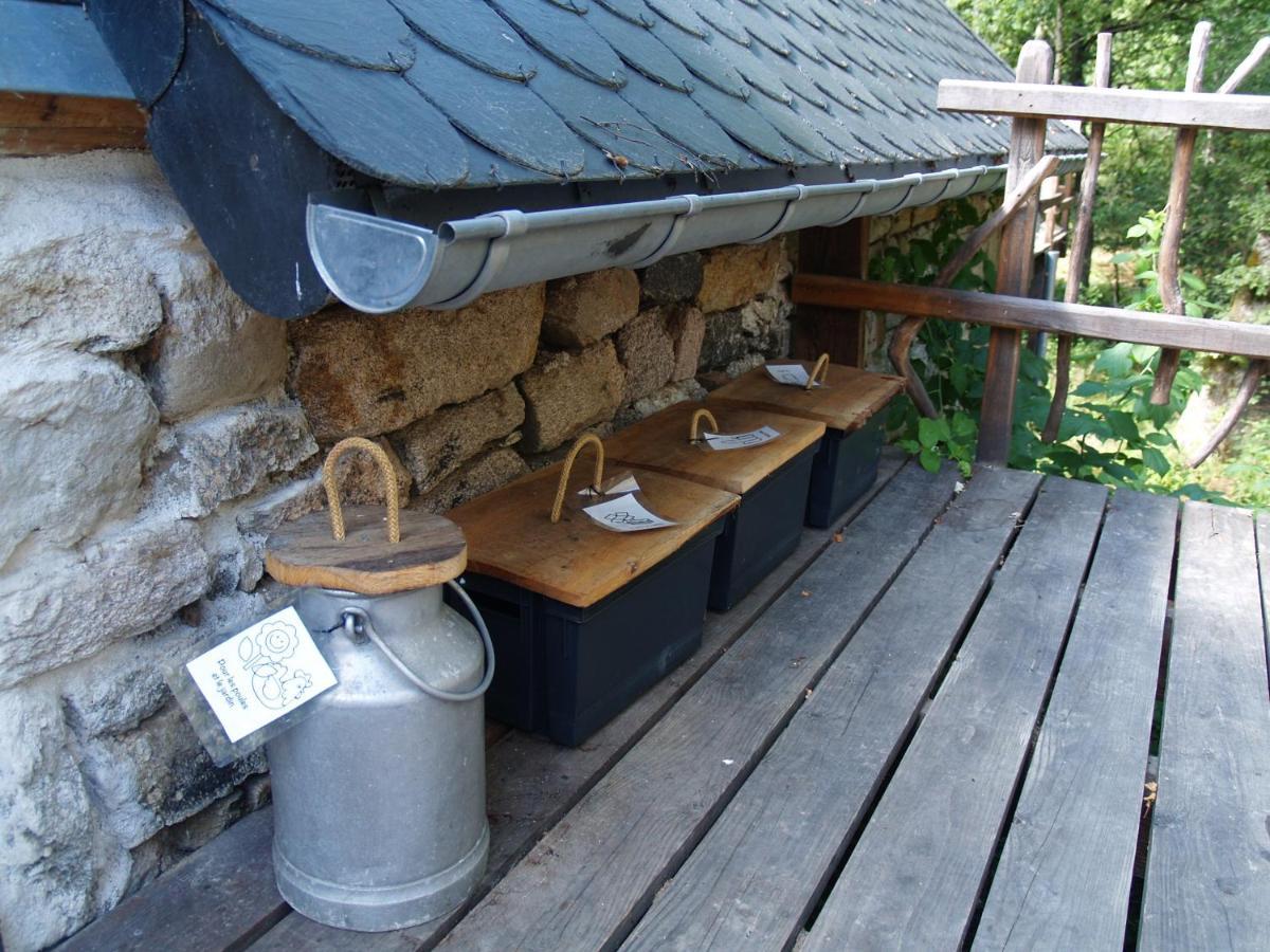 Gite Nature Le Moulin Vitrac-sur-Montane 外观 照片