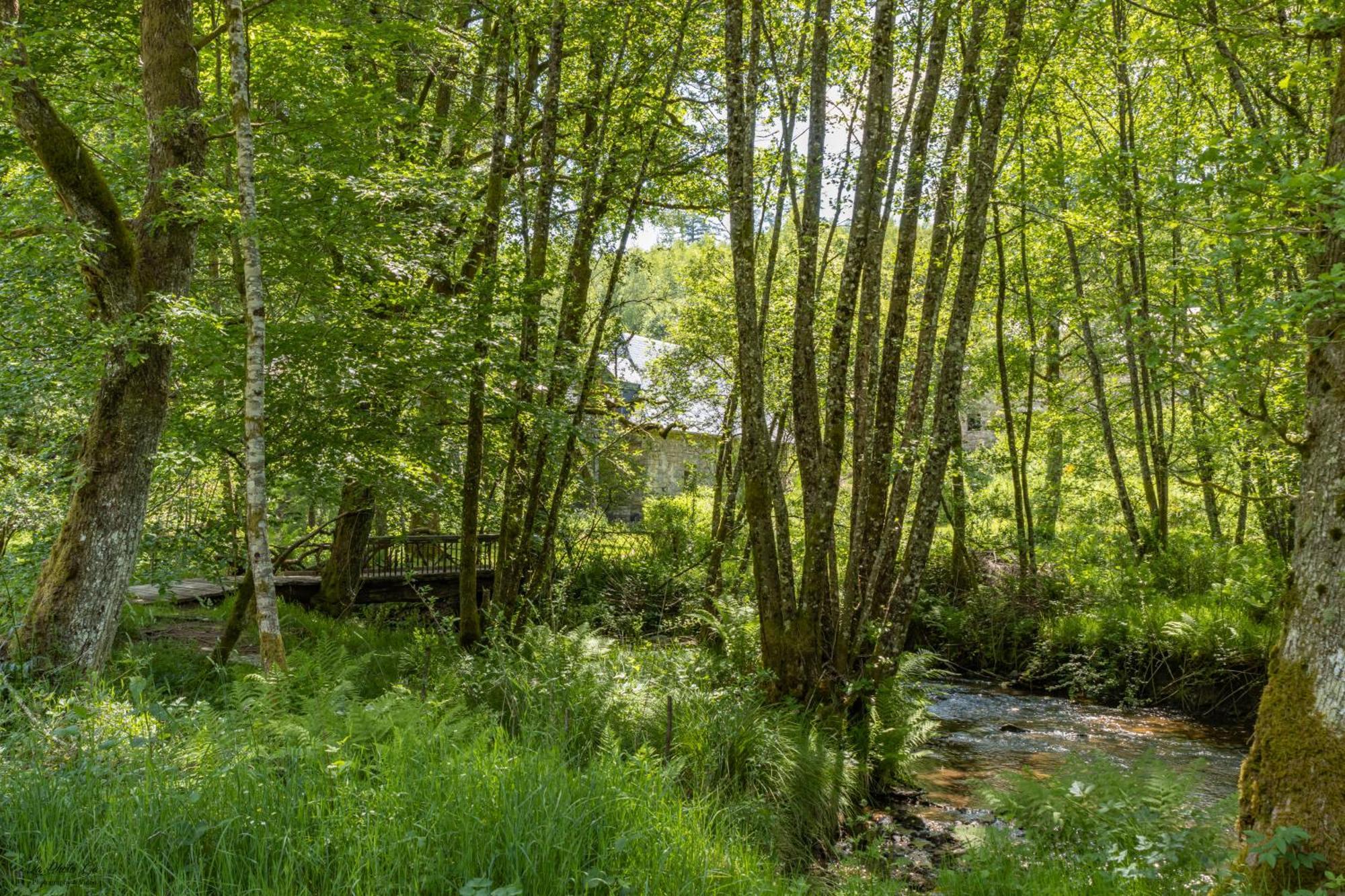Gite Nature Le Moulin Vitrac-sur-Montane 外观 照片