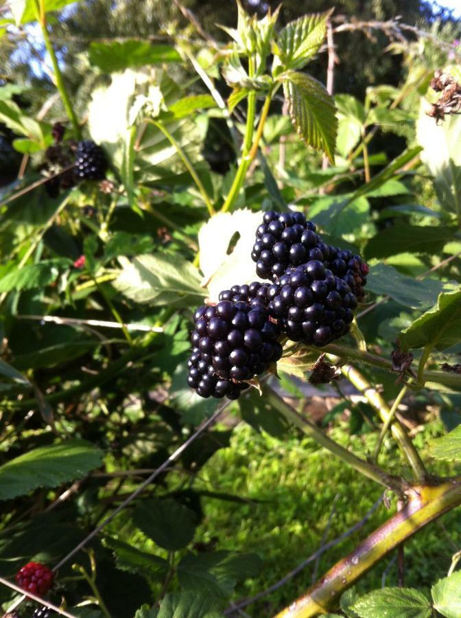 Gite Nature Le Moulin Vitrac-sur-Montane 外观 照片