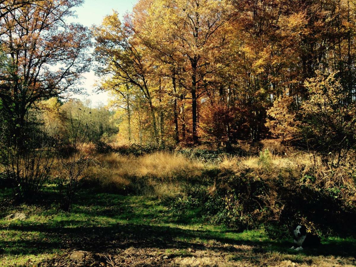Gite Nature Le Moulin Vitrac-sur-Montane 外观 照片