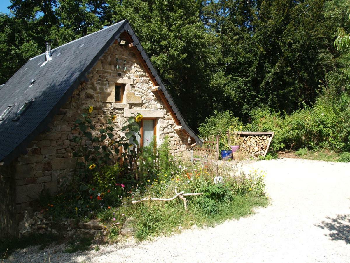 Gite Nature Le Moulin Vitrac-sur-Montane 外观 照片
